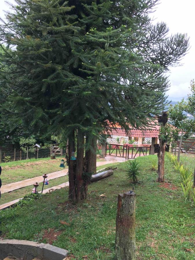 Casa De Campo Em Monte Verde , Linda Vista Para Montanhas Exterior foto